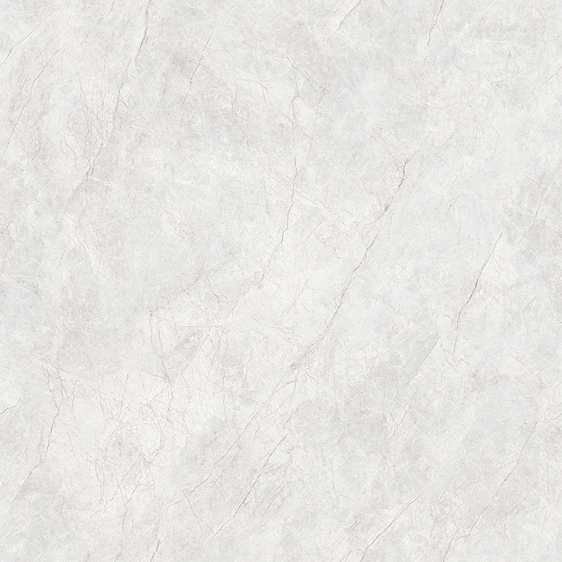 TW88P002-2