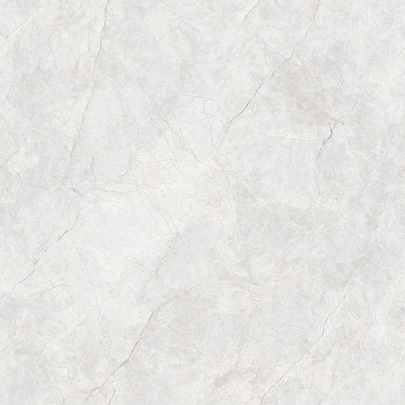 TW88P002-1