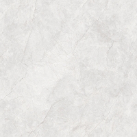 TW88P002-1