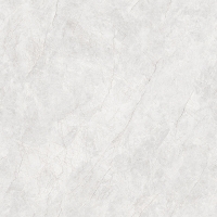 TW88P002-2